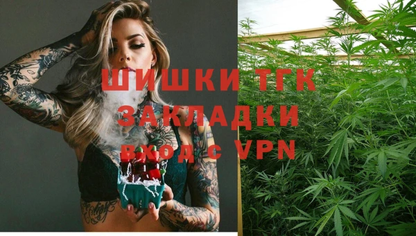 МДПВ Абаза