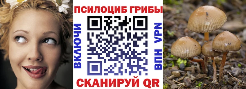 Псилоцибиновые грибы MAGIC MUSHROOMS  Алексин 
